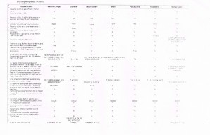 Feedback Format - District Level Summary 